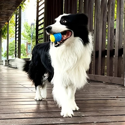 Interactive dog toy elastic soft TPR rubber ball durable squeaky chew toy for dogs teething cleaning dental pet supplies