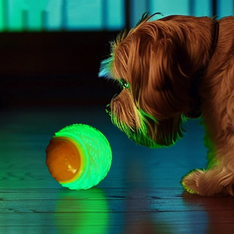 Interactive dog toy elastic soft TPR rubber ball durable squeaky chew toy for dogs teething cleaning dental pet supplies