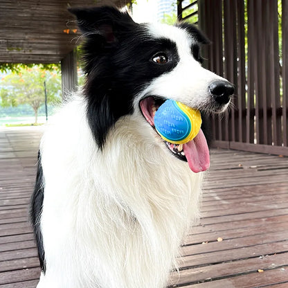 Interactive dog toy elastic soft TPR rubber ball durable squeaky chew toy for dogs teething cleaning dental pet supplies