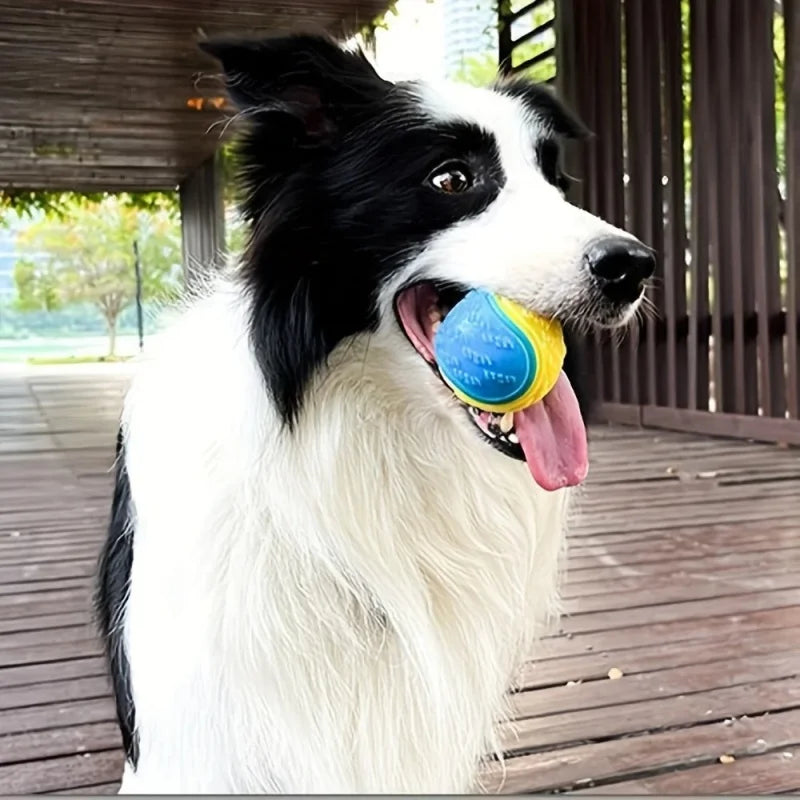 Interactive dog toy elastic soft TPR rubber ball durable squeaky chew toy for dogs teething cleaning dental pet supplies