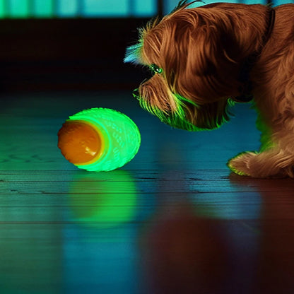 Interactive dog toy elastic soft TPR rubber ball durable squeaky chew toy for dogs teething cleaning dental pet supplies